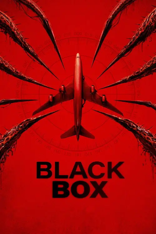 Black Box (Flight 298)