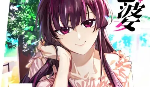 Please Behave, My Wife