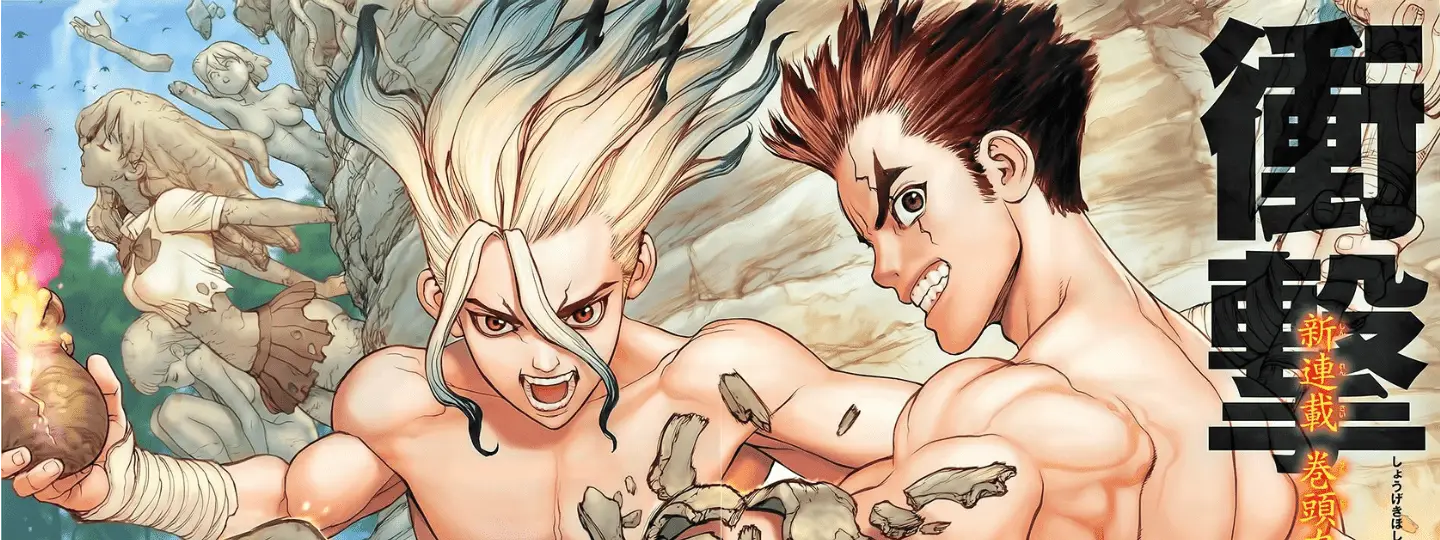 Dr. Stone