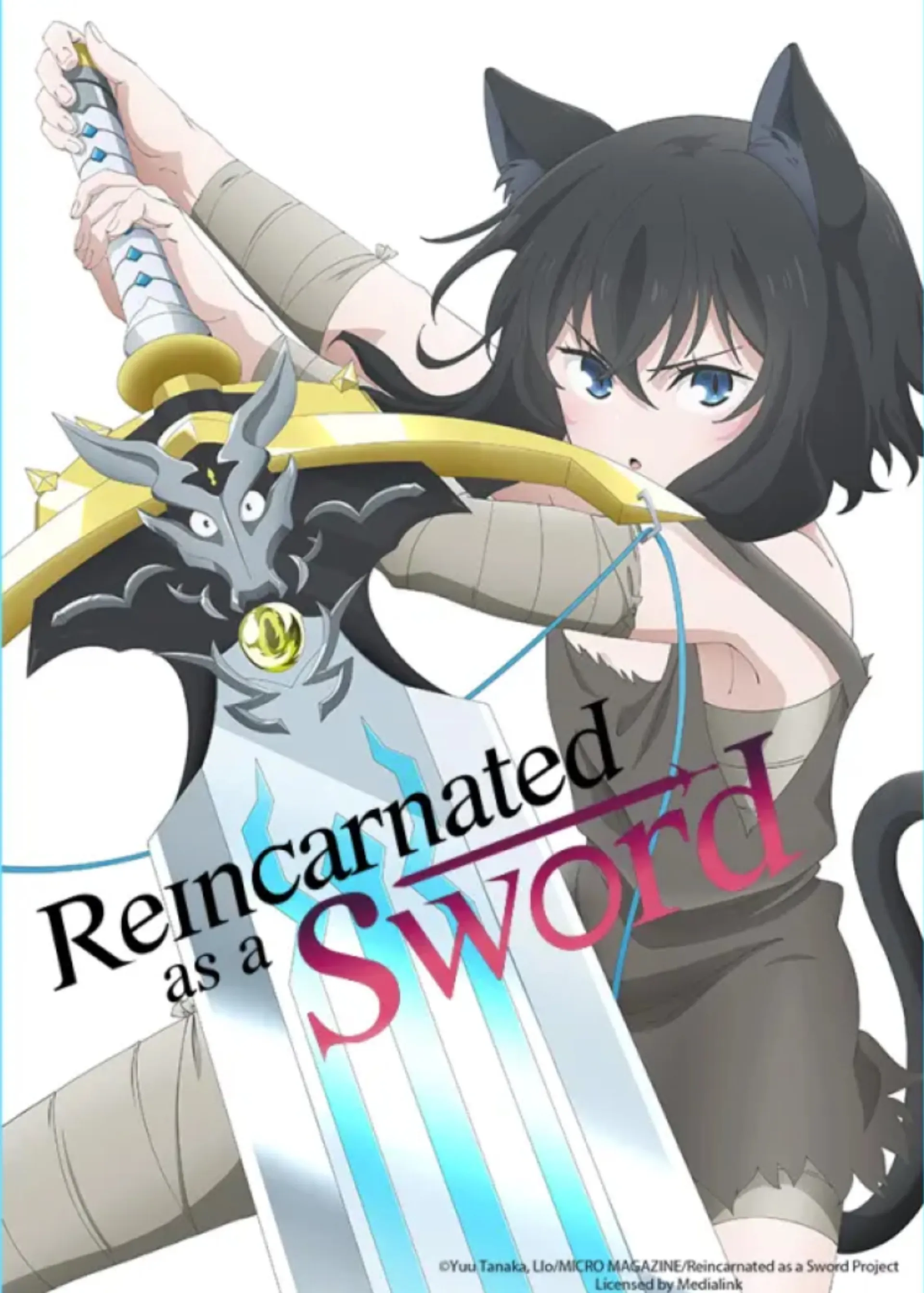 Reincarnated as a Sword