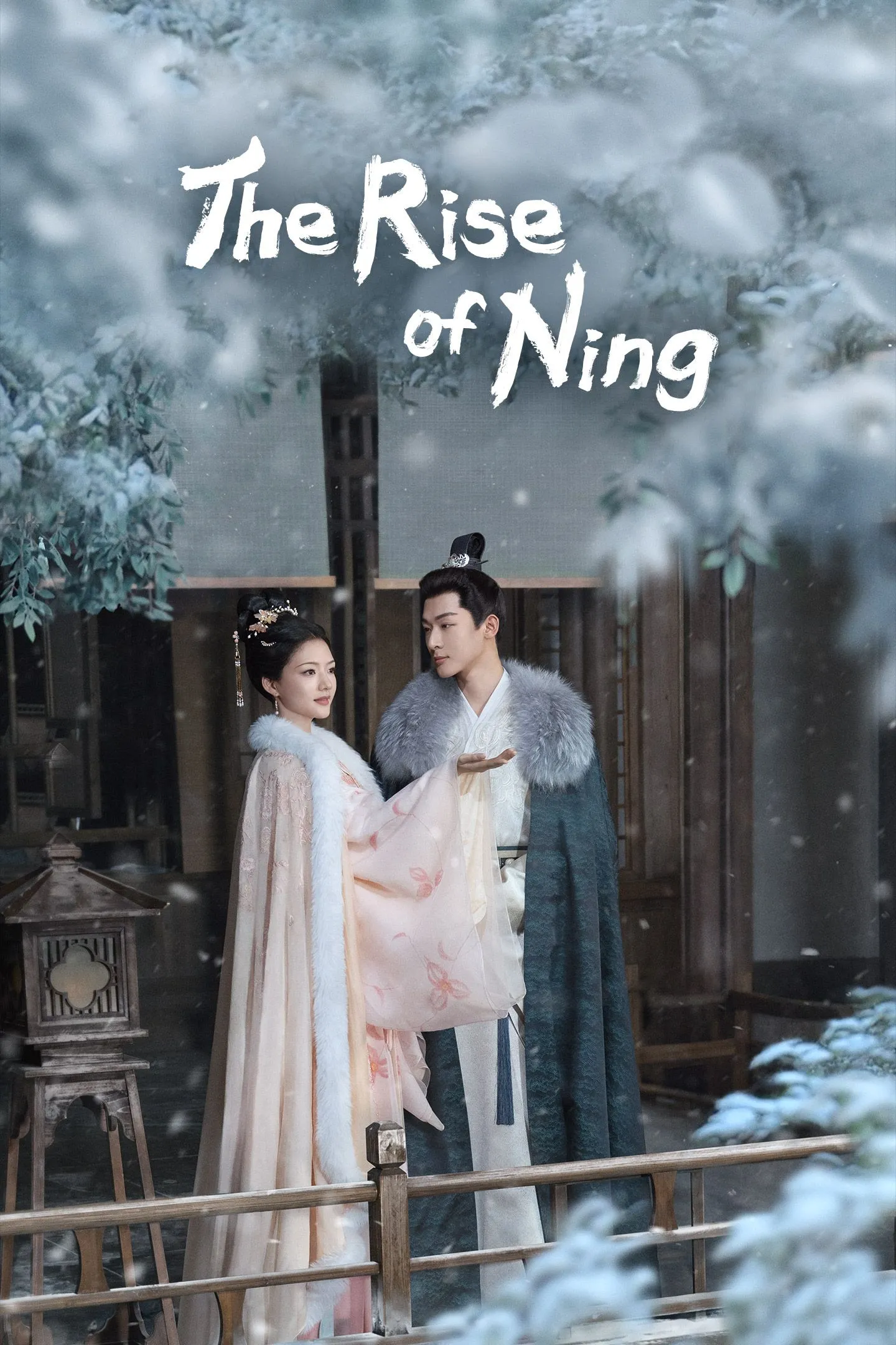 The Rise of Ning