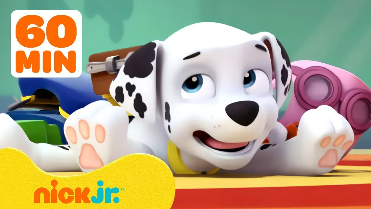 PAW Patrol Marshall's Silliest Moments! 🤠1 Hour Compilation | Nick Jr.